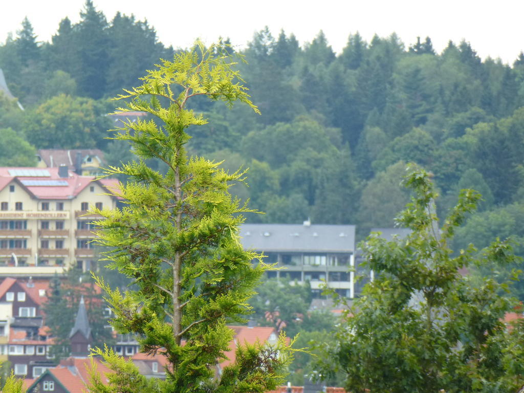 Harzhaus Willkommen Braunlage Eksteriør billede